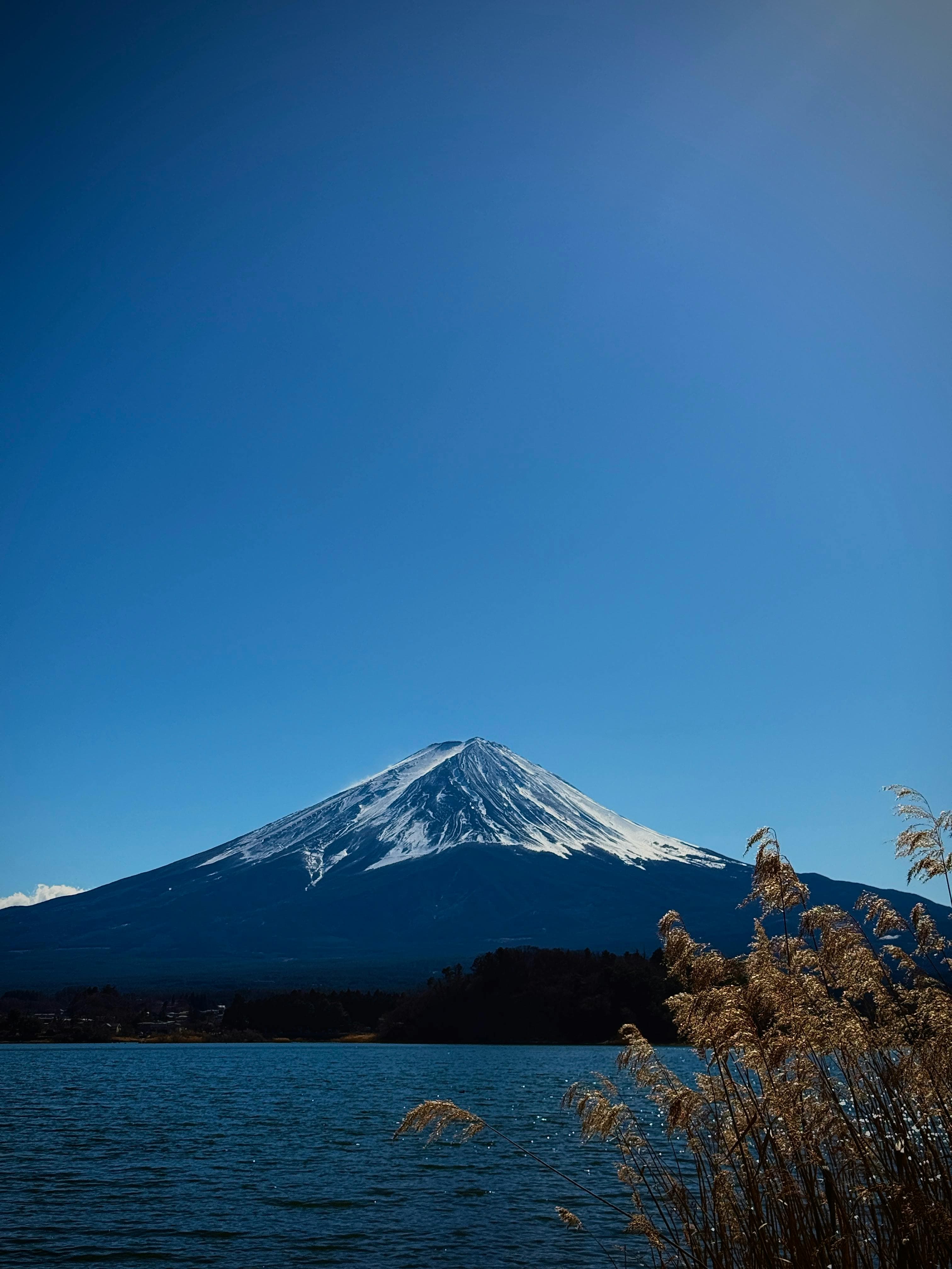 Mount Fuji